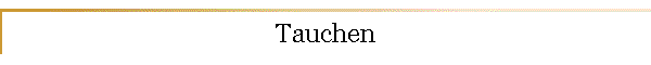 Tauchen